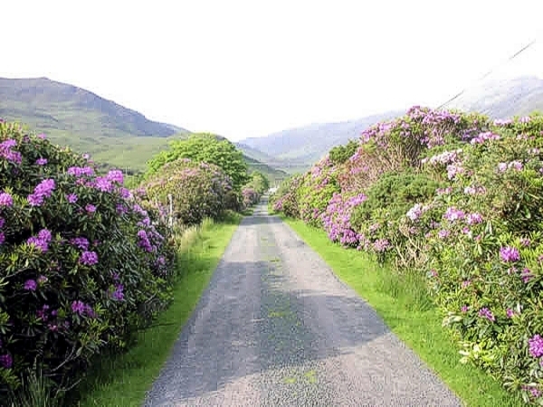 View of Lochbuie Village