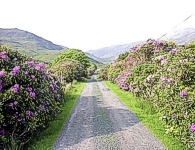 View of Lochbuie Village