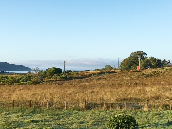 View from the cottage