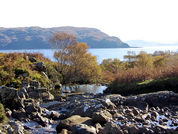 A view in Mull