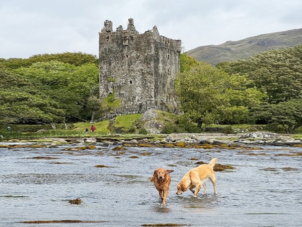 Moy Castle at Loch Buie